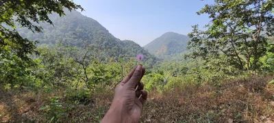 Netravali - Photo 2