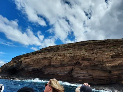 Wailea - Photo 4