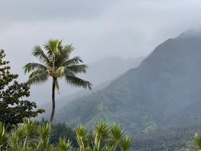Hanalei - Photo 4