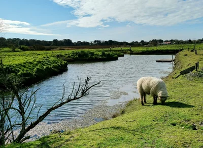 Vendee - Photo 5