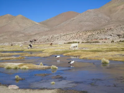 San Pedro de Atacama - Photo 3