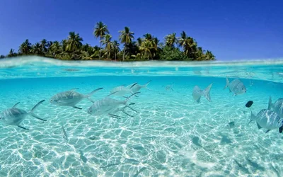 Archipelago of San Bernardo - Photo 4