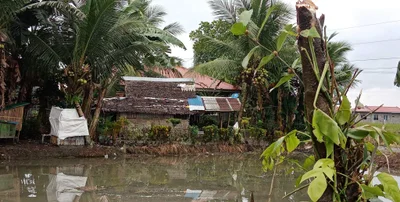 Naujan - Photo 5