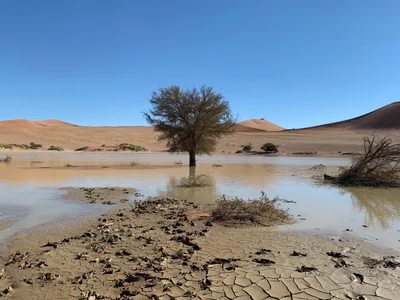 Sossusvlei - Photo 2