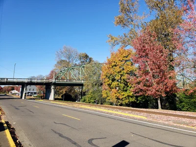 Albany - Photo 3