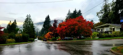 North Vancouver - Photo 3