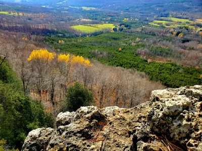 The Blue Mountains - Photo 4