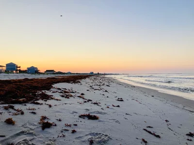 Dauphin Island - Photo 3