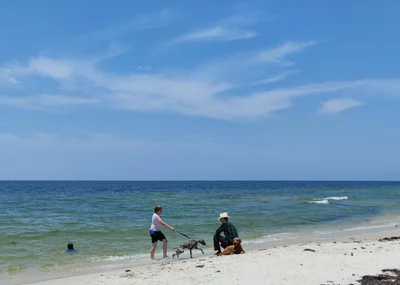 Dauphin Island - Photo 4