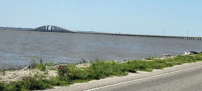 Dauphin Island - Photo 5
