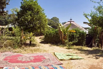 Dek Island - Photo 4