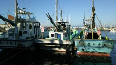 Miura-gun - Photo 2