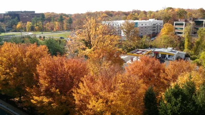 Norwalk - Photo 3