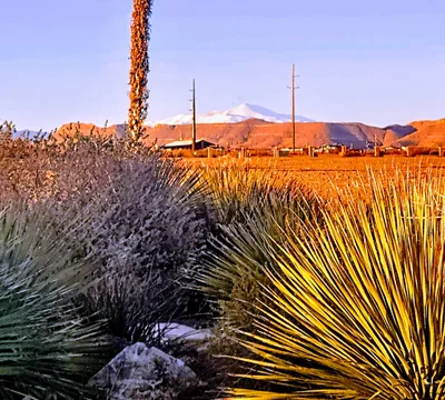 Alamogordo - Photo 4