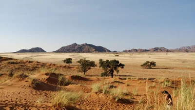 Sesriem - Photo 5