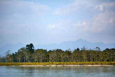 Nameri National Park - Photo 4
