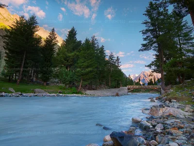 Naltar Valley - Photo 5