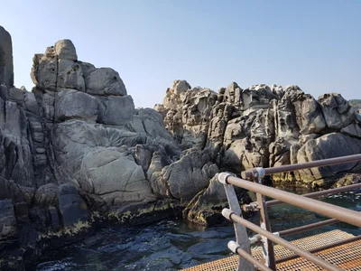 Yangyang-gun - Photo 4
