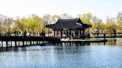 Buyeo-gun - Photo 4
