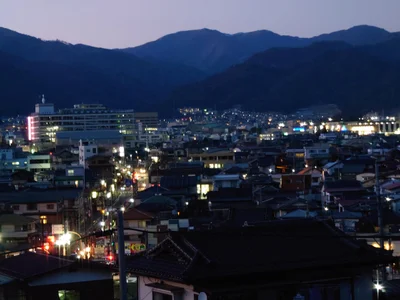 Warabi - Photo 2