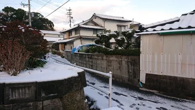 Minamata - Photo 4