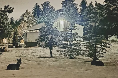 Kalispell - Photo 5