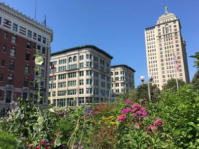 Buffalo - Photo 3