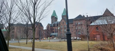 Buffalo - Photo 4