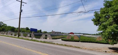 Beamsville - Photo 5