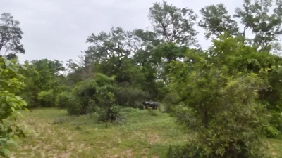 Sarapaka - Photo 3