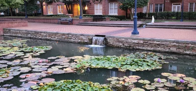 Frederick - Photo 5