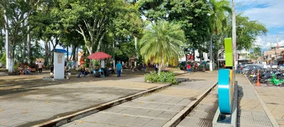Candelaria - Photo 2