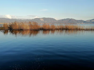 Torre del Lago Puccini - Photo 2
