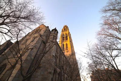New Haven - Photo 3