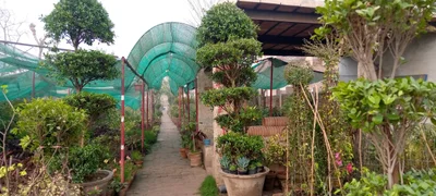 Sonipat - Photo 3