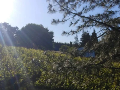 Newberg - Photo 2