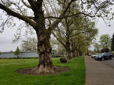 Newberg - Photo 5