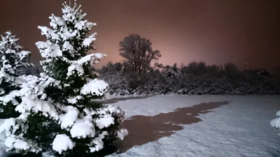 Middletown - Photo 4