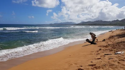 Lihue - Photo 4