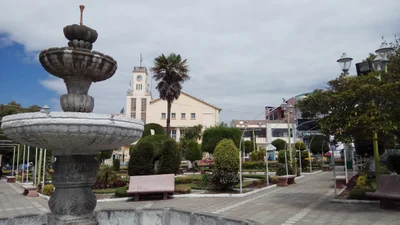 Guano - Photo 3
