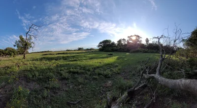 Isla Umbu - Photo 2