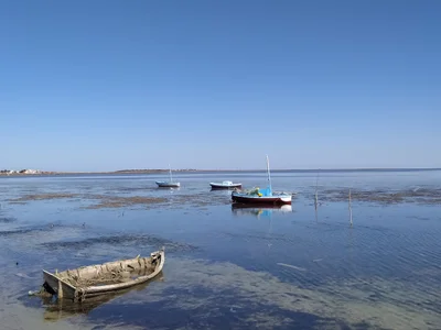 Kerkennah Islands - Photo 3