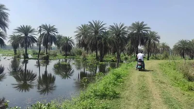 Mukteshwar - Photo 5