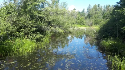 Magog - Photo 4