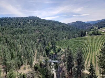Area F (Trout Creek Valley) - Photo 2