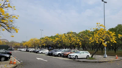 Gukeng Township - Photo 2