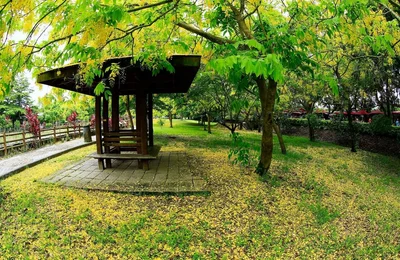 Gukeng Township - Photo 3