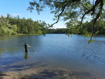 Richmond Hill - Photo 2