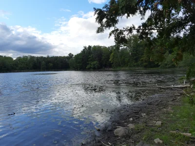 Richmond Hill - Photo 3