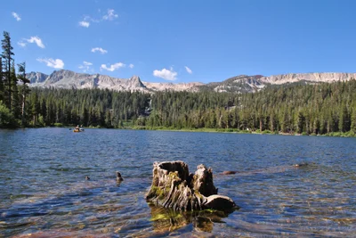 Mammoth Lakes - Photo 4